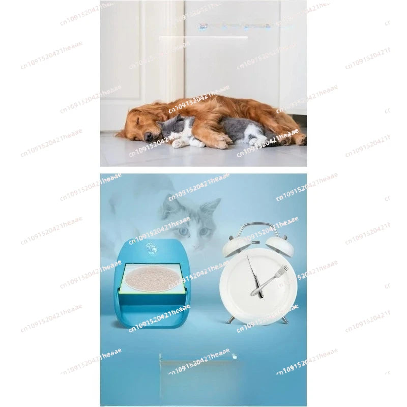 Suitable for Dry Food Small Dogs with SensingAutomatic Cat Feeder Auto Cat Food Pet Feeder Wet and