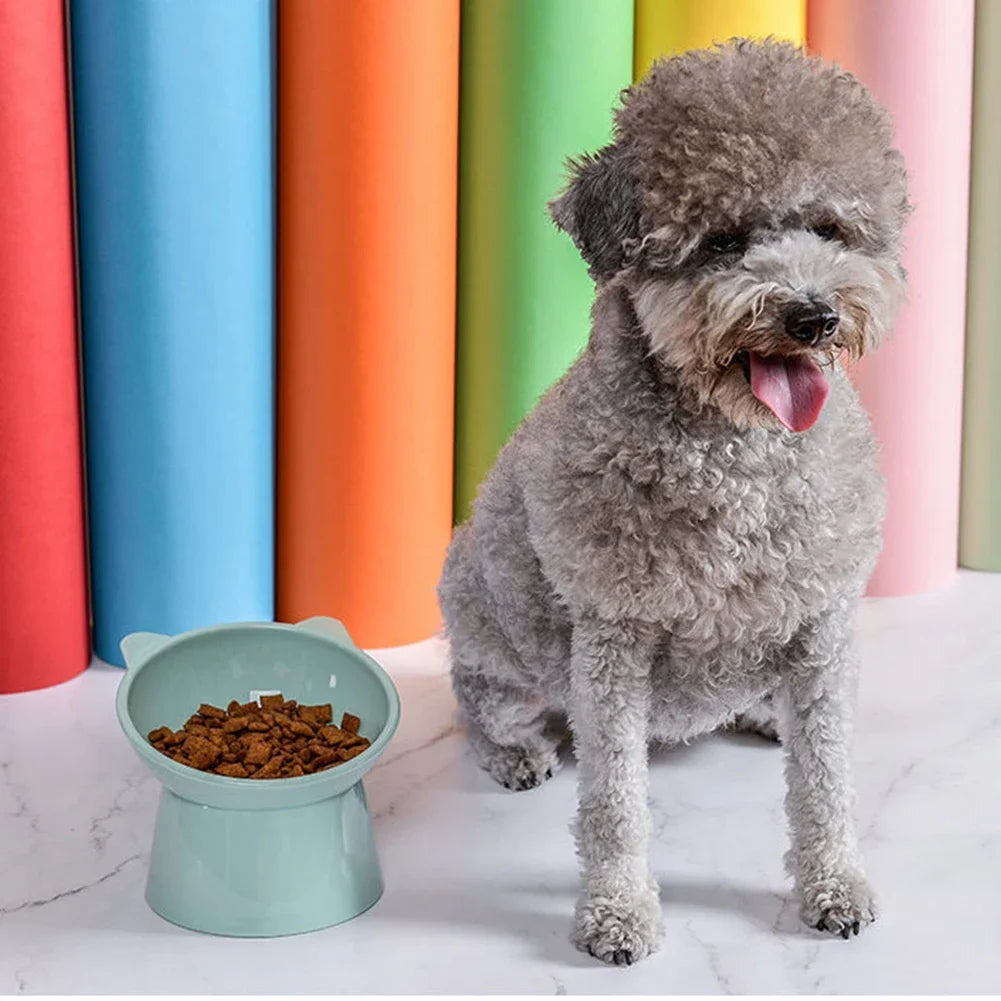 Cat Ceramic Bowl Tilted Pet Food Water Feeders Small Dogs Drinking Eating Supplies Food Dish Ergonomic Raised or Flat- Faced Cat