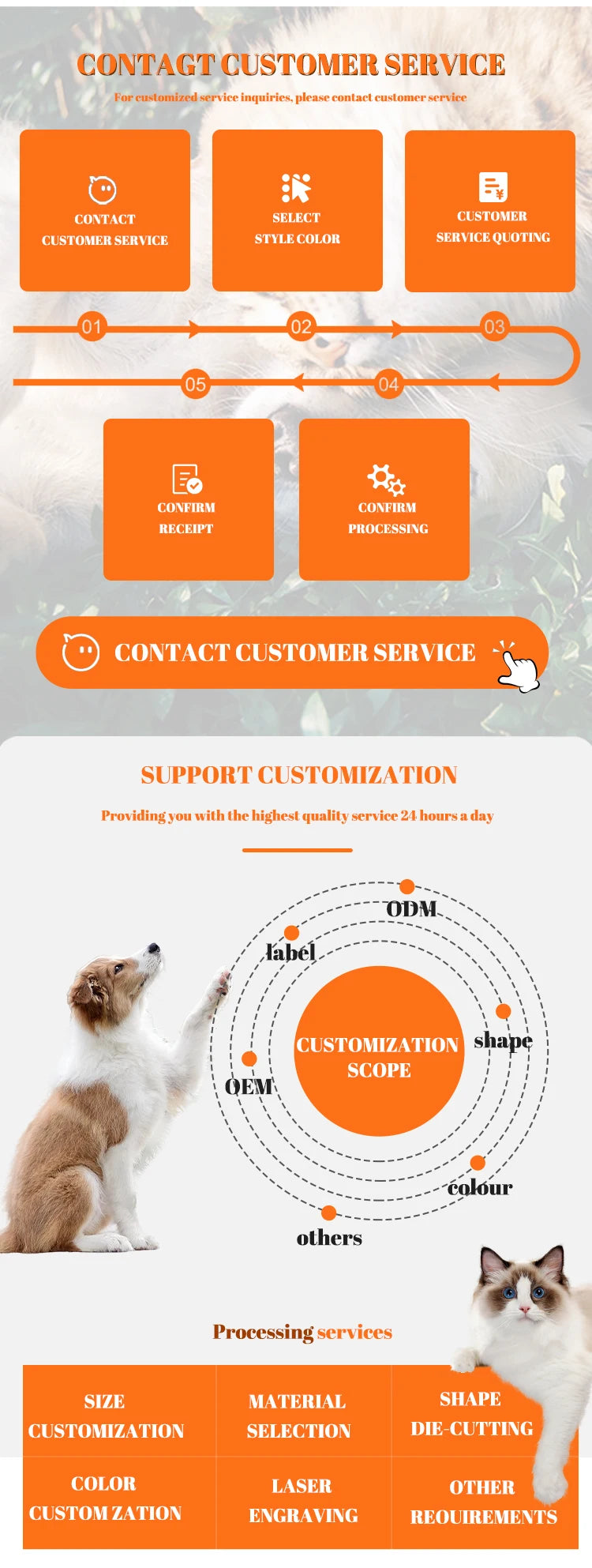 High-Quality Honeycomb-Shaped Cat Food Bowl Set Ceramic with Round Wooden Base for Home Pet Care and Feeding