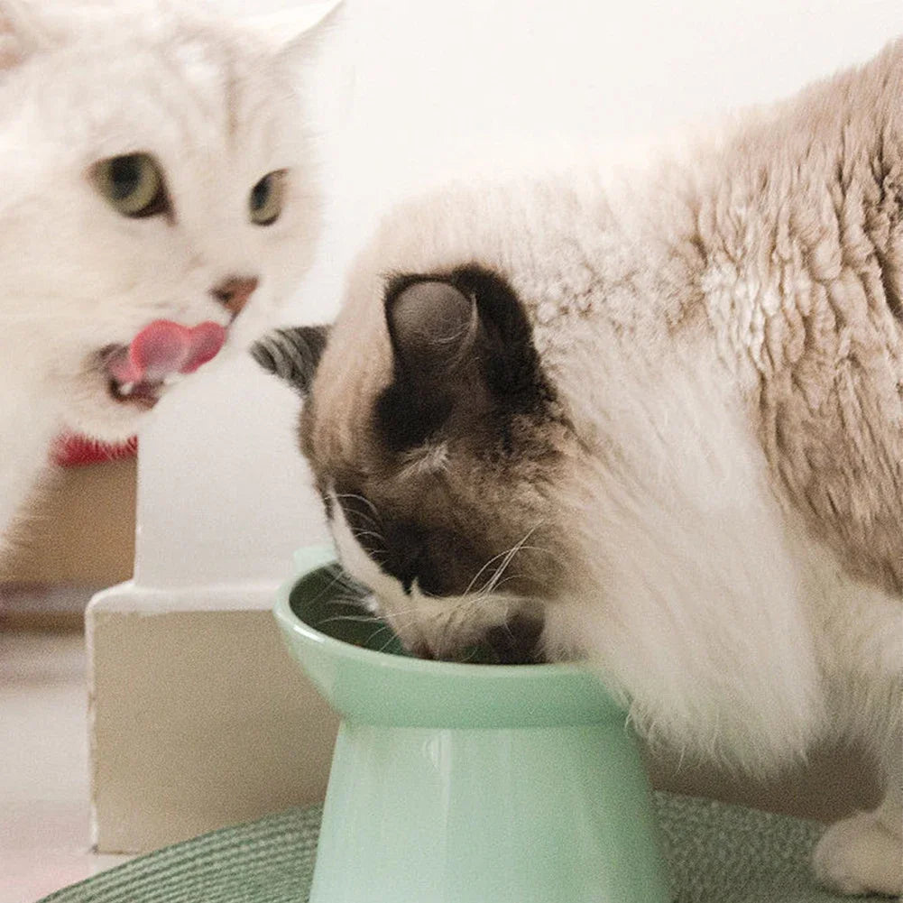 Cat Ceramic Bowl Tilted Pet Food Water Feeders Small Dogs Drinking Eating Supplies Food Dish Ergonomic Raised or Flat- Faced Cat
