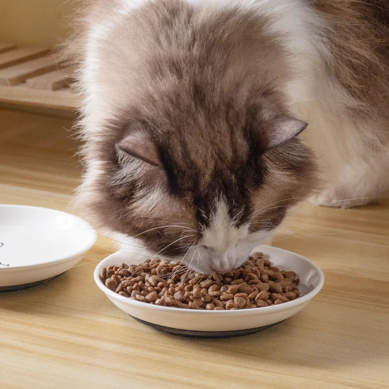 Ceramic Food Bowl for Cats; Anti-Skid Silicone Pad; Appealing Kitten Dish; Pet Feeding Essentials